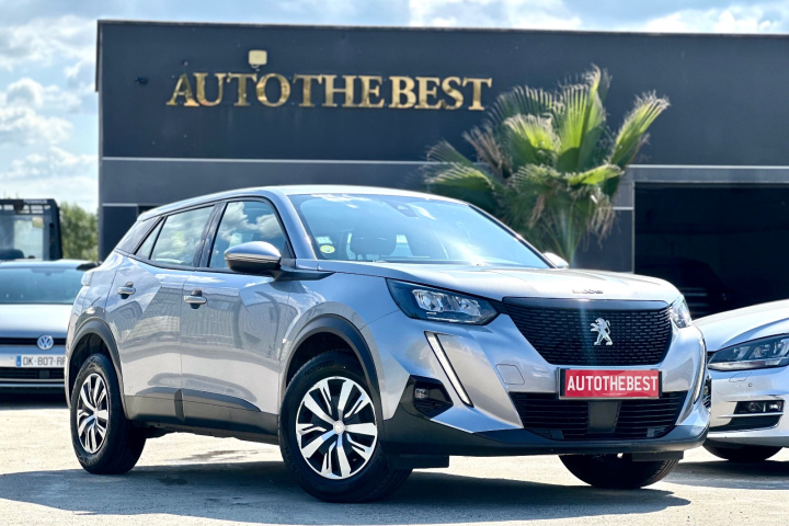 PEUGEOT 2008 BUSINESS